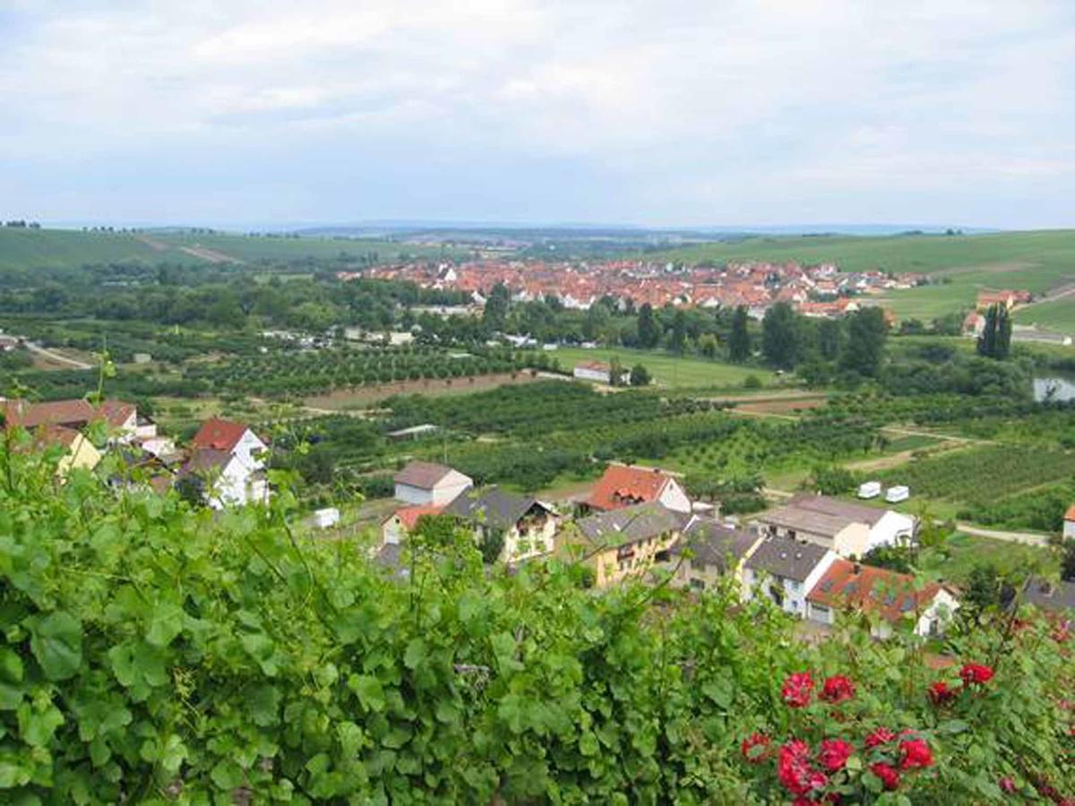 Ferien- Und Winzerhof Ute Braun Apartment Nordheim am Main Luaran gambar
